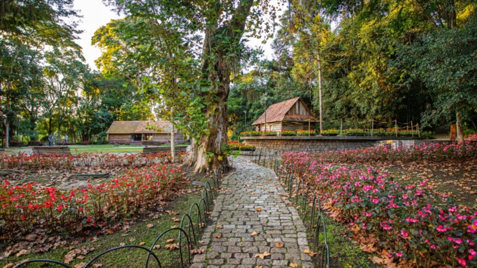 Bosque do Papa