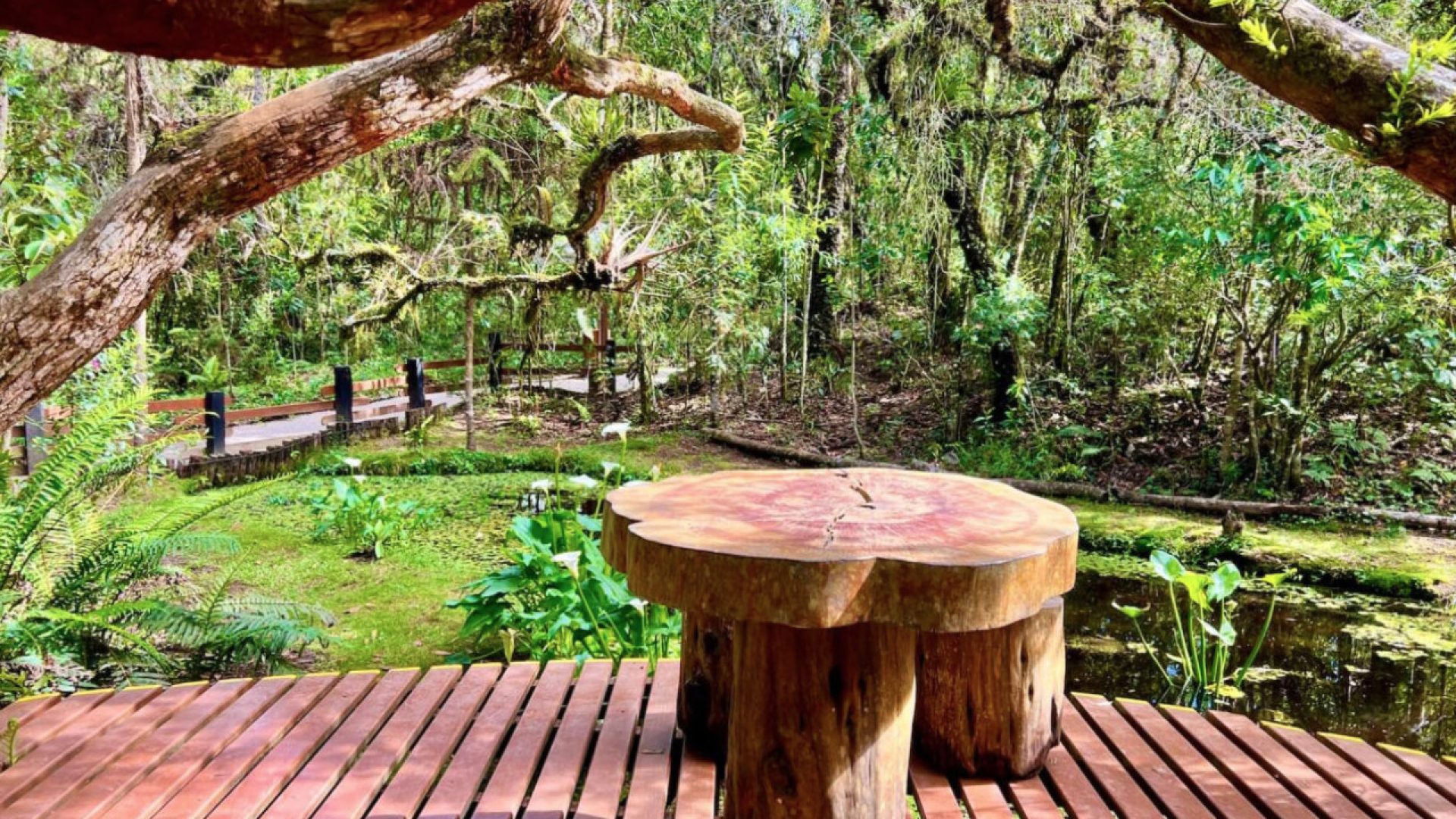 Bosque do Silêncio - F1